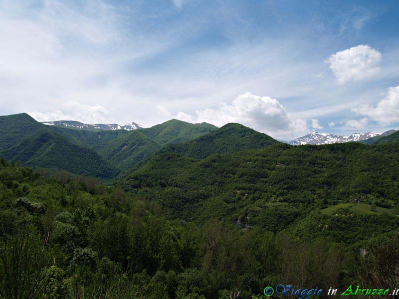 10-P5218892+.jpg - 10-P5218892+.jpg - Gli immensi boschi che caratterizzano lo sconfinato territorio comunale di Valle Castellana.